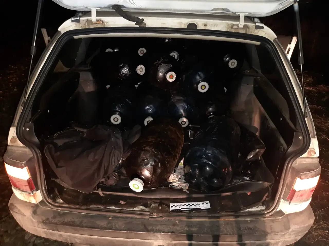 Транспортные полицейские Псковской области раскрыли кражу горючего на объекте транспортной инфраструктуры Транспортные полицейские Псковской области раскрыли кражу горючего на объекте транспортной инфраструктуры