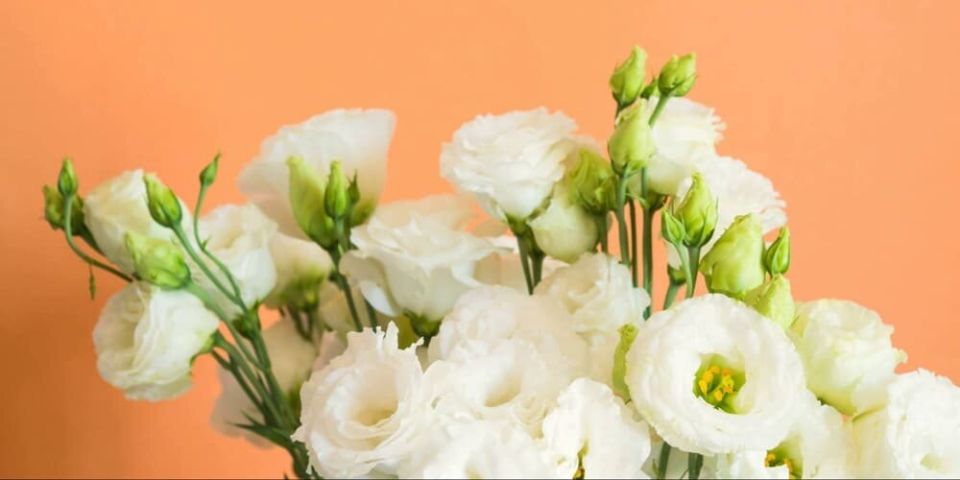 �������: ������� ����� �� ��������� ������