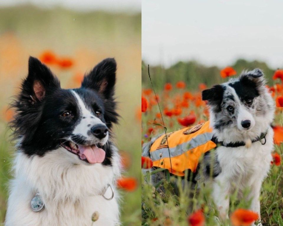 � ��������� ������� �� ����� ���������� ���������� ���� ��������� ����� ������ ����������