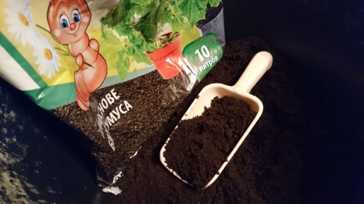 Как использовать замёрзший грунт для успешной рассады