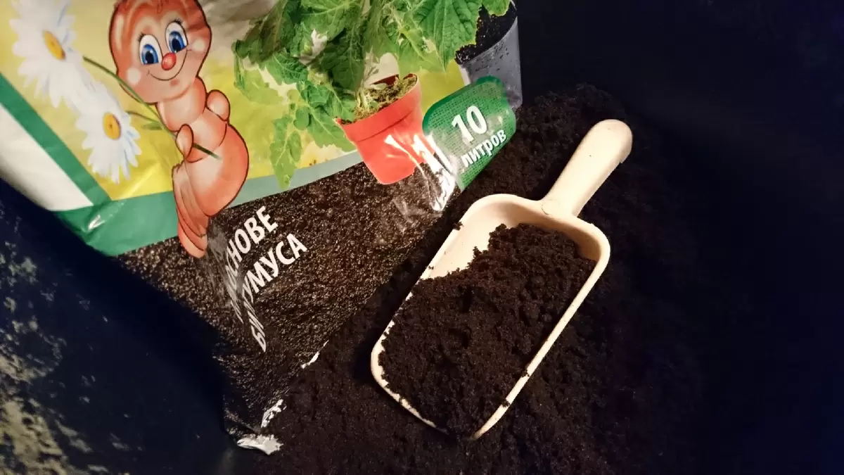 Как использовать замёрзший грунт для успешной рассады