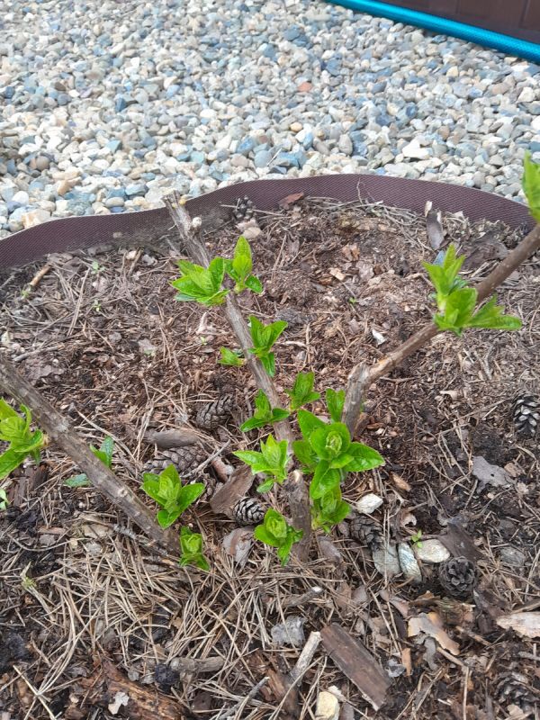 ��� ����� ���������� ��������� ������� �������� ����� ����������� ����������