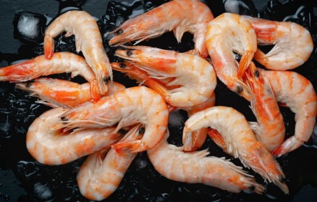 ����� ��� � ��������������: 5 �������� �������� ��� ������������ �����