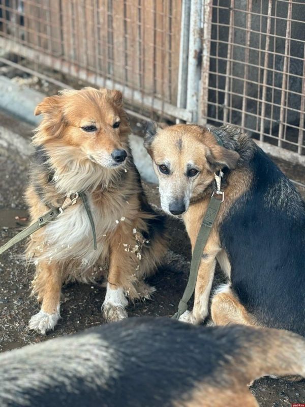 �������� ������ ����� ���������� ���� ������� �� ����� ������ �������� � ������