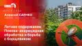 «Беседка»: Алексей Саенко о летнем содержании городских территорий
