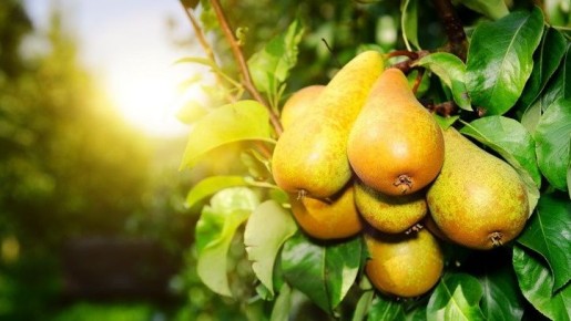 ��� �������� ������� ���������� ��� ���: ����, ������� ��������� ���� � ����������