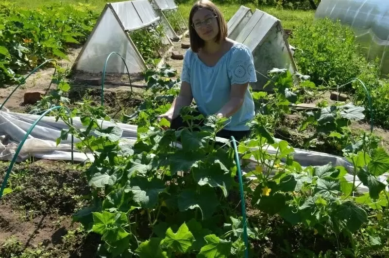 Мини-огород на даче: как вырастить урожай на крошечном участке без лишних хлопот