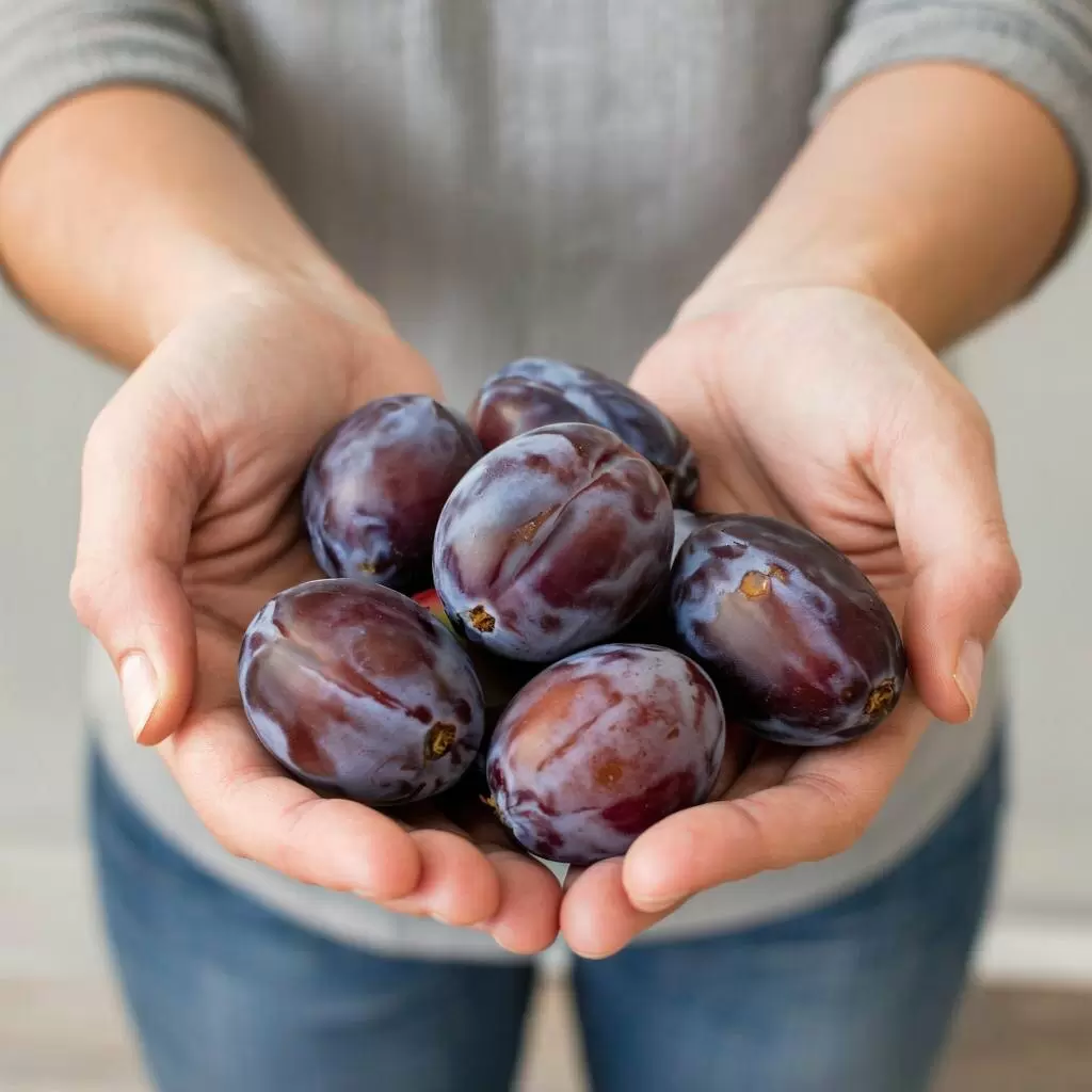 Как ежедневный чернослив может изменить вашу жизнь: удивительные результаты