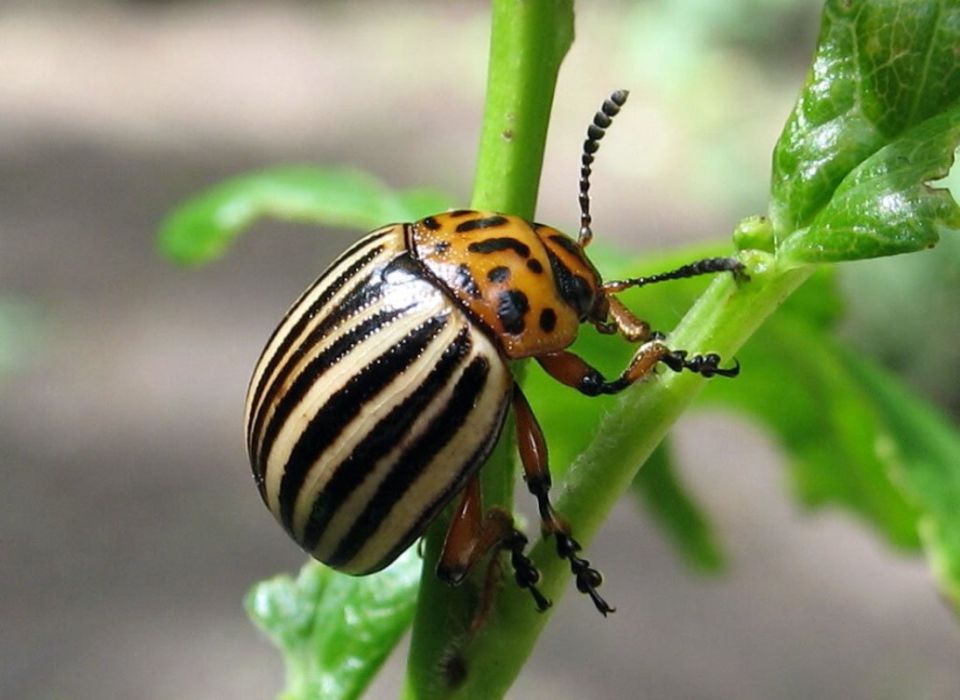 ��� ���������� ���������� � ����������� �����: 8 ������� ���������� � 1 ������� ��������