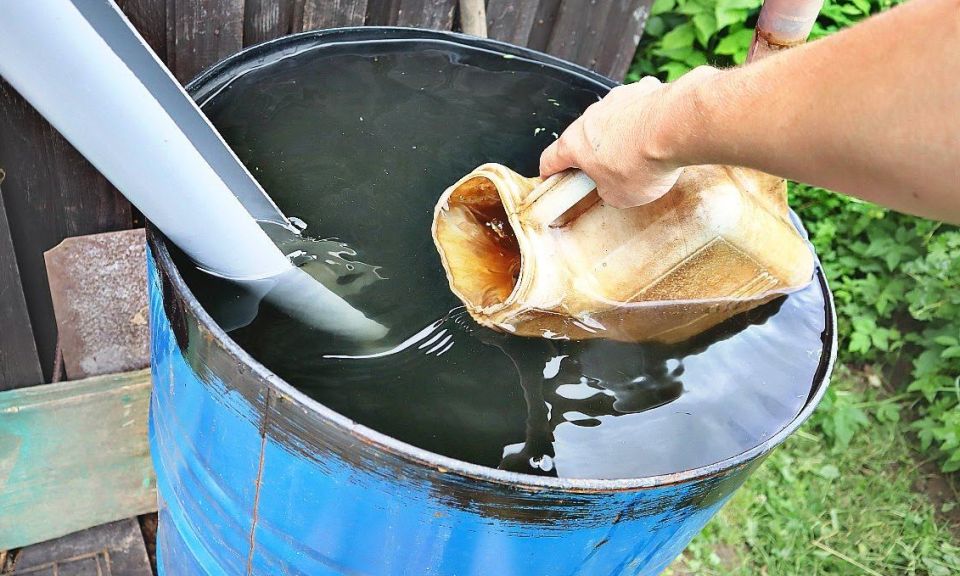 ��� ������ ��������� ������ ��������� � ��� ����: ������� ������������ ������