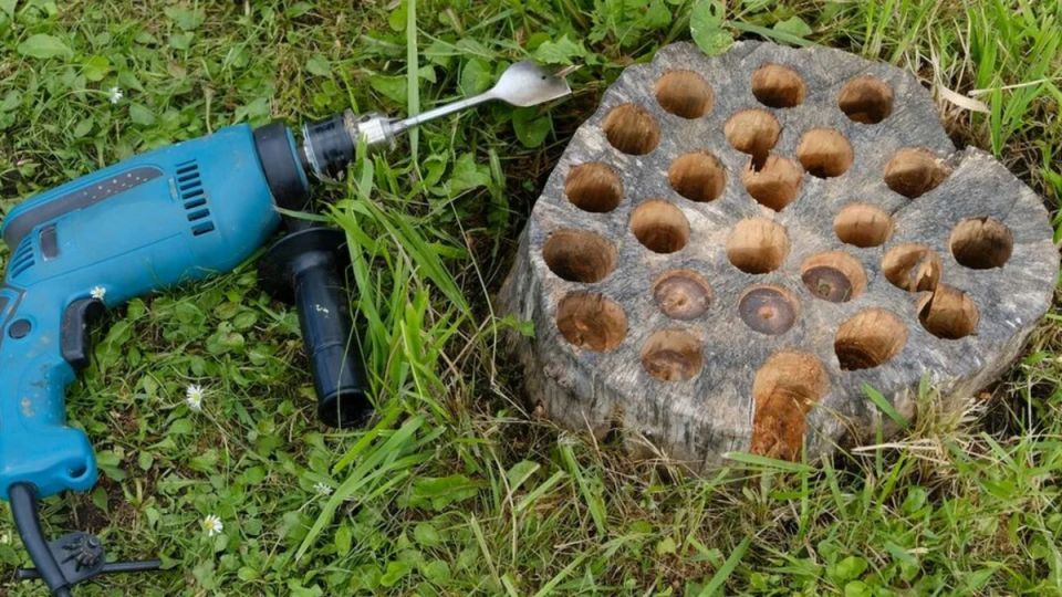 ��� ������ ���������� �� ���: ������� �������