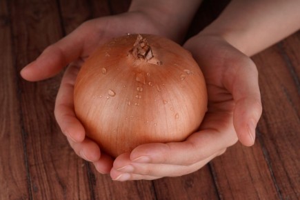 ������� ��������� ����������� ������� �������: �� ������ ����� �� �����