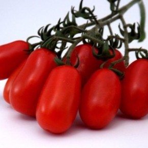 ����� ������: ��� ��������� ��������� ��� ������ ���������