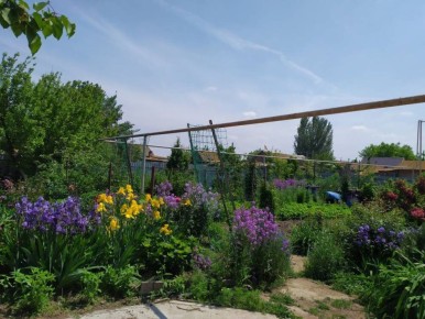 ����� ��� �������� � ������ � ���������: ���� �������� ������