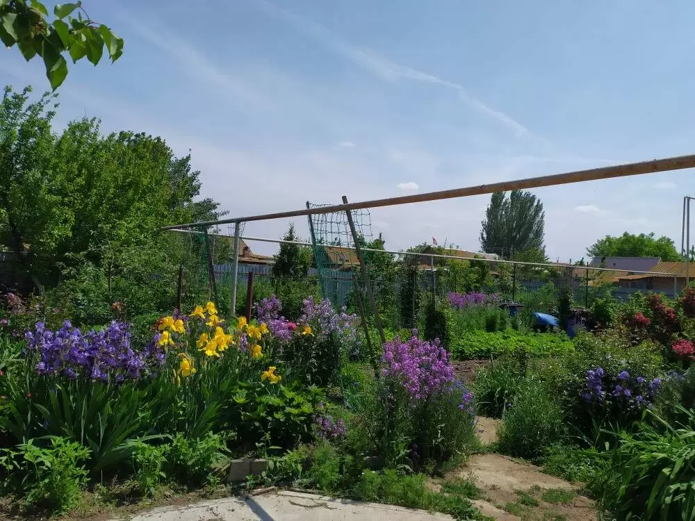 Цветы как союзники в борьбе с сорняками: опыт успешной борьбы