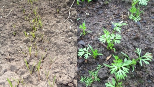 ��� �������� ������� �������� ������ ������� � ������������ ������������ ������