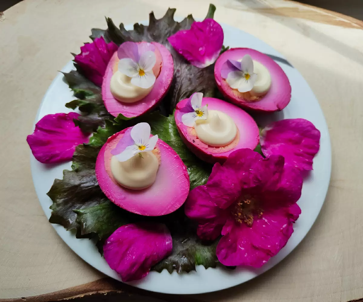 Магия маринованных яиц