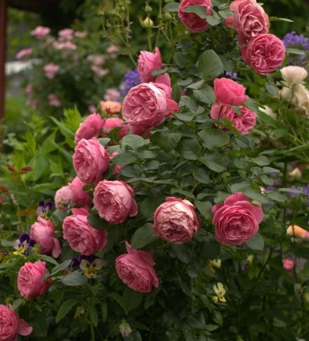 ����� �������� ���� �� ����? �������� ������ �� ���������