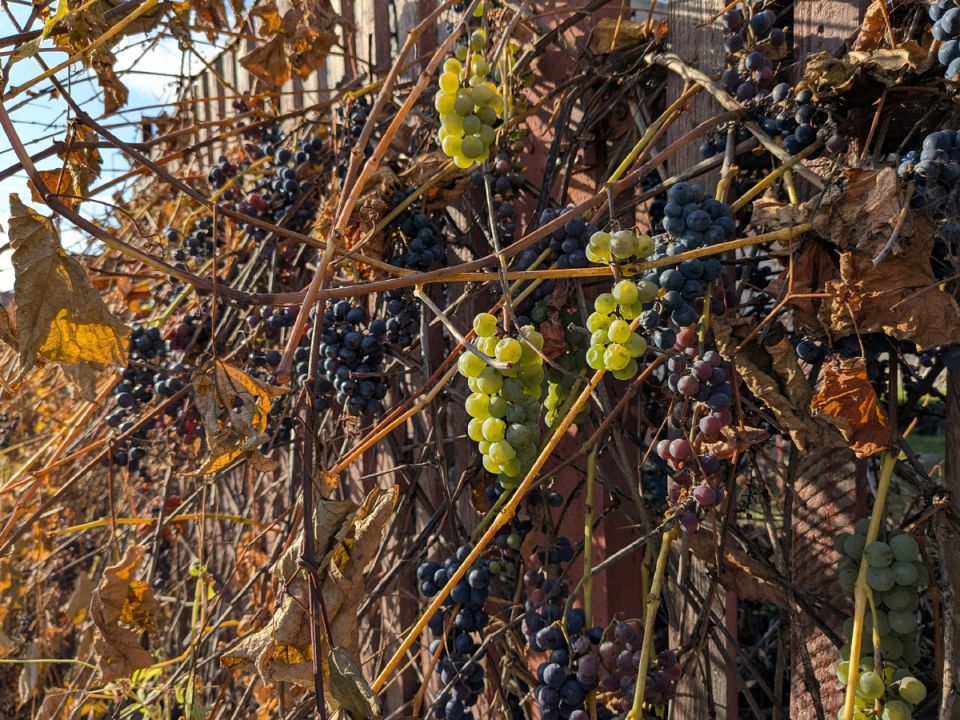 ������� ������� ��� �������������? ��� ������� ��������� ������������ ������ � �����