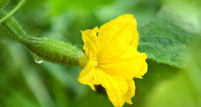 ��� ������ ����������� � �����: ������������ ��������� ��� ��������� ������