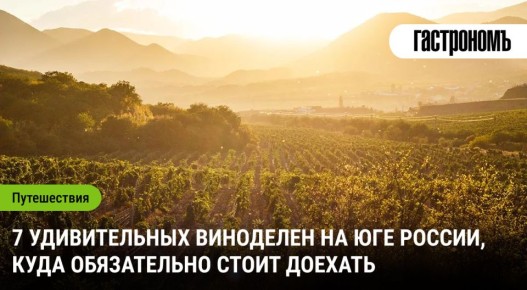 Топ-7 виноделен на юге России, которые стоит посетить в 2025 году