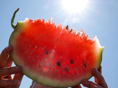 ��� ��������� ����� ����� �� ����: ������ �������� �� ������ ����