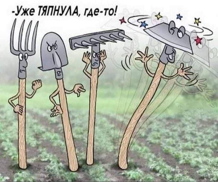 ��� �� ���������� � ���� ������� ������������: ������ ��� ��������