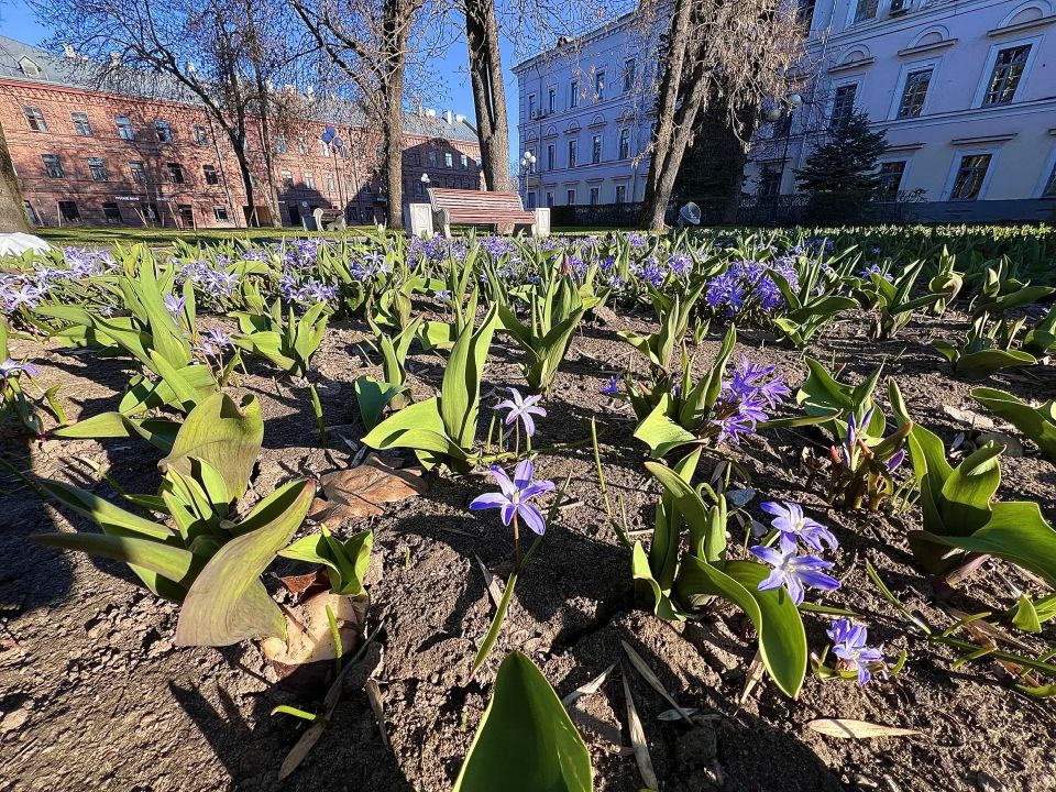 ����� ������ ������ ����� ����� ��������� ������������ ������������ ���������