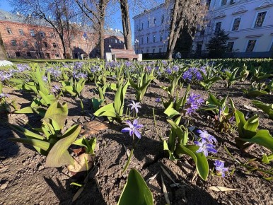 ����� ������ ������ ����� ����� ��������� ������������ ������������ ���������