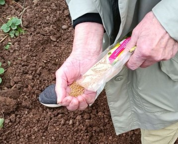 ��������: ������� ��������� ������ � ��������