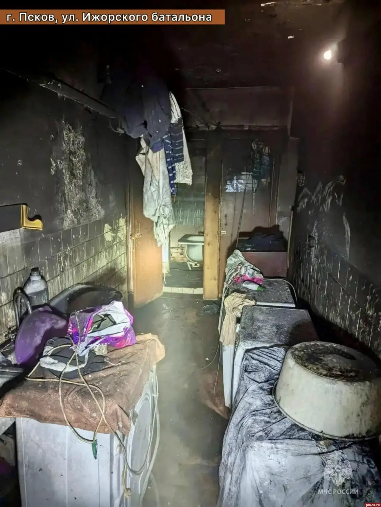 Шесть человек и пять кошек спасти при пожаре в многоквартирном доме в Пскове Шесть человек и пять кошек спасти при пожаре в многоквартирном доме в Пскове