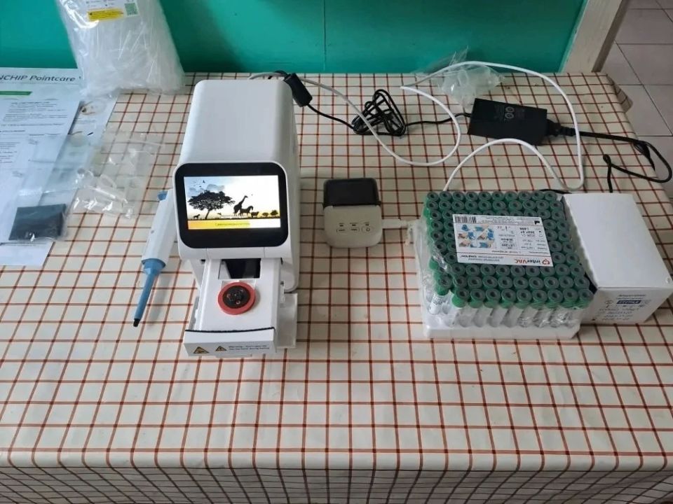 � ������������ ������� ����������� � ���������� ������� �������� ������������� ���������� �����