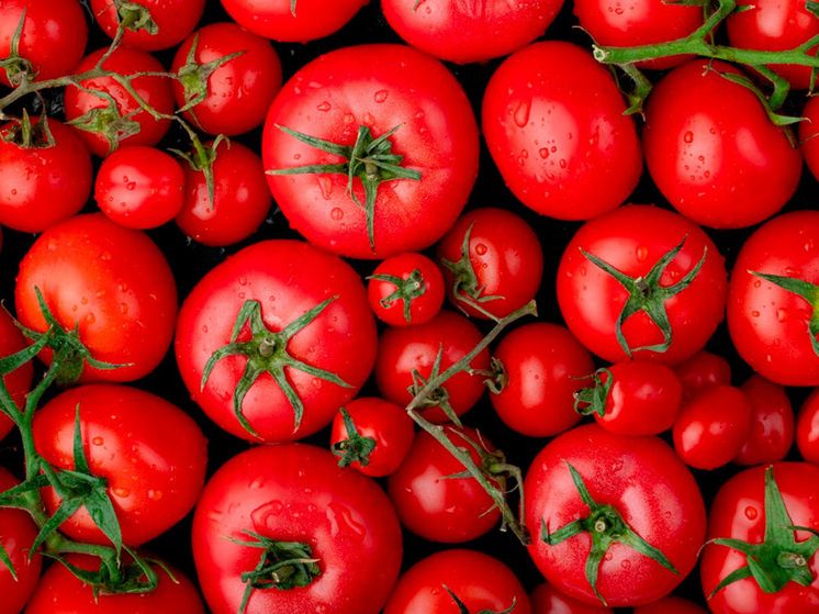 ���� �� �������� � �������� �������: ��� ��� ������� � 2025 ����?