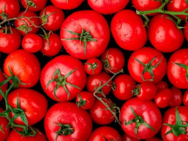 Цены на продукты в Липецкой области: что нас ожидает в 2025 году?