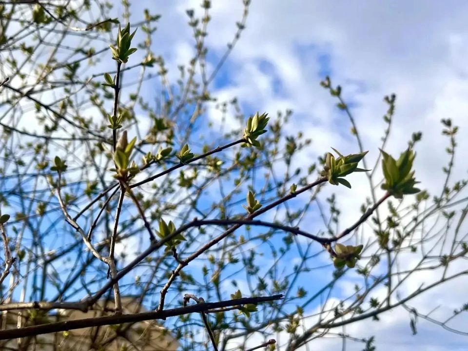 � ������ ������� ����� ������� �� 5 ��� ������