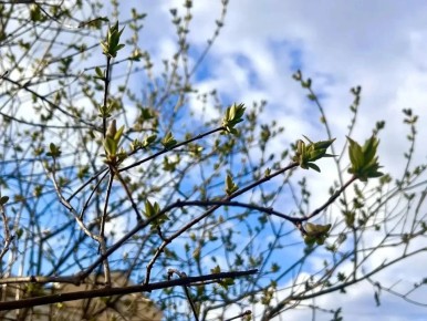 � ������ ������� ����� ������� �� 5 ��� ������