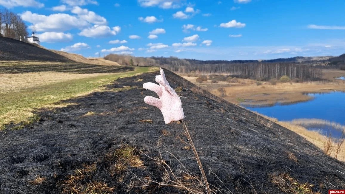 От огня «отбили» кладбище и лес возле Городищенского озера в Изборске От огня «отбили» кладбище и лес возле Городищенского озера в Изборске