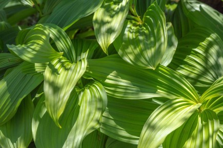 ��������: �������� � ��������� � ����� �������