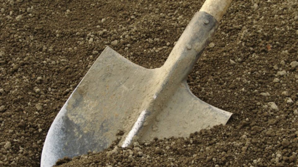 ���� �������� �������� ������ �������: ����������� ������ ��� ��������