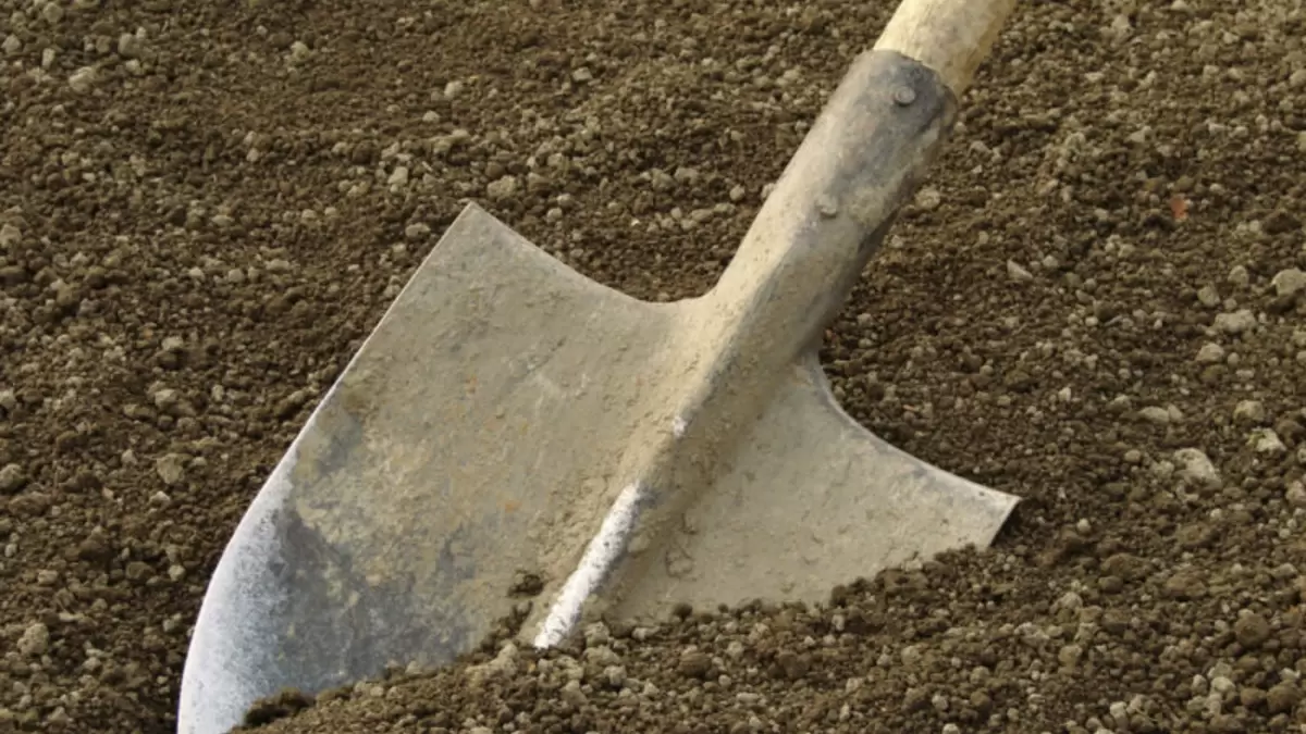 Пять секретов успешных ранних посадок: проверенные методы для дачников