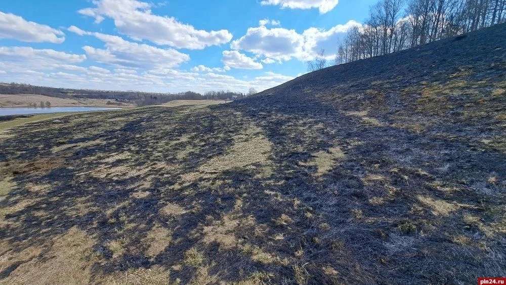 От огня «отбили» кладбище и лес возле Городищенского озера в Изборске От огня «отбили» кладбище и лес возле Городищенского озера в Изборске