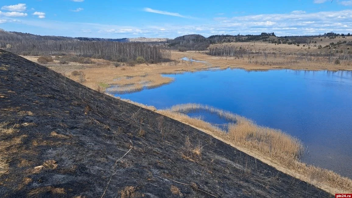 От огня «отбили» кладбище и лес возле Городищенского озера в Изборске От огня «отбили» кладбище и лес возле Городищенского озера в Изборске