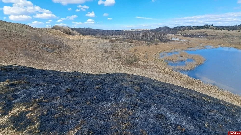 От огня «отбили» кладбище и лес возле Городищенского озера в Изборске От огня «отбили» кладбище и лес возле Городищенского озера в Изборске