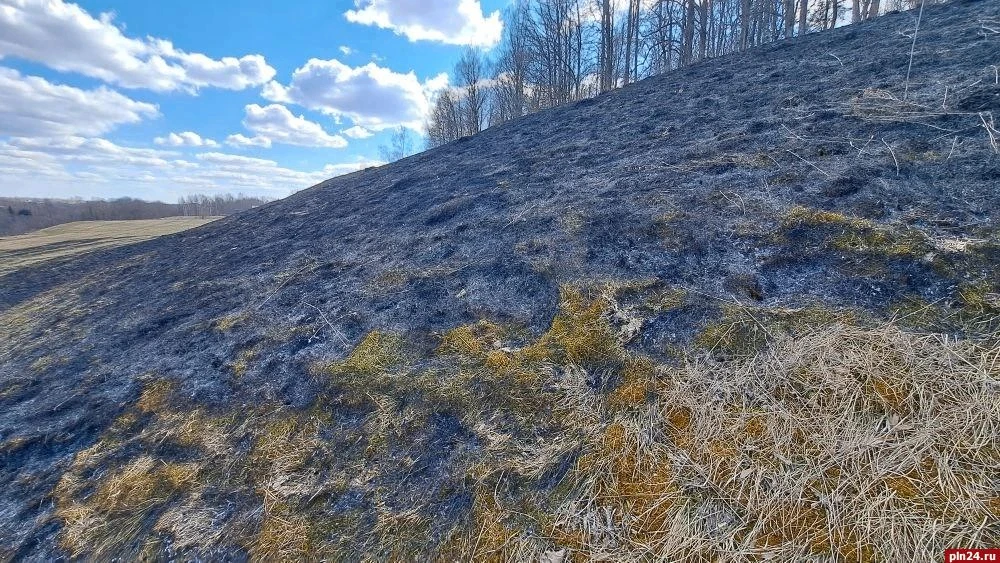 От огня «отбили» кладбище и лес возле Городищенского озера в Изборске От огня «отбили» кладбище и лес возле Городищенского озера в Изборске