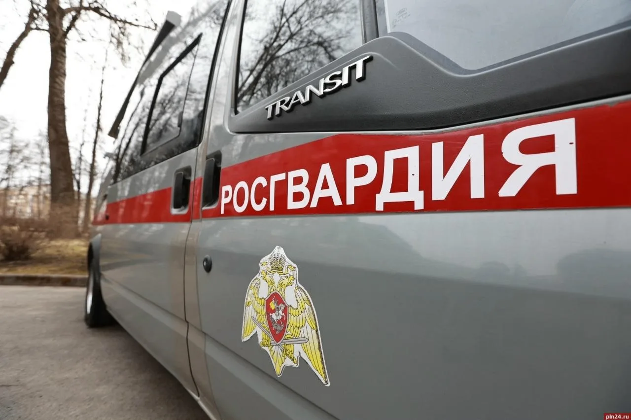 Более 80 боеприпасов изъяли росгвардейцы за неделю в Псковской области