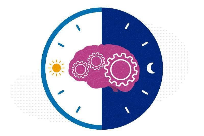 ���������� � ����: ��������� ��� ������� ��������?