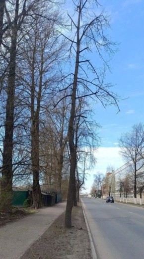 � ������ ������������ �������� ������ ����� ����������, ������������ �� �������� ���������� ��������� � ��������� ������������ �������� ���������