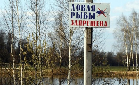 Сегодня в Приднестровье вступает в силу 2-месячный нерестовый запрет на рыболовство