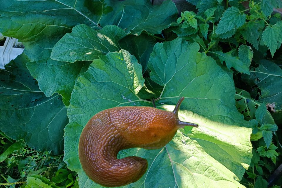 ������: ��� ����������� ��� ���