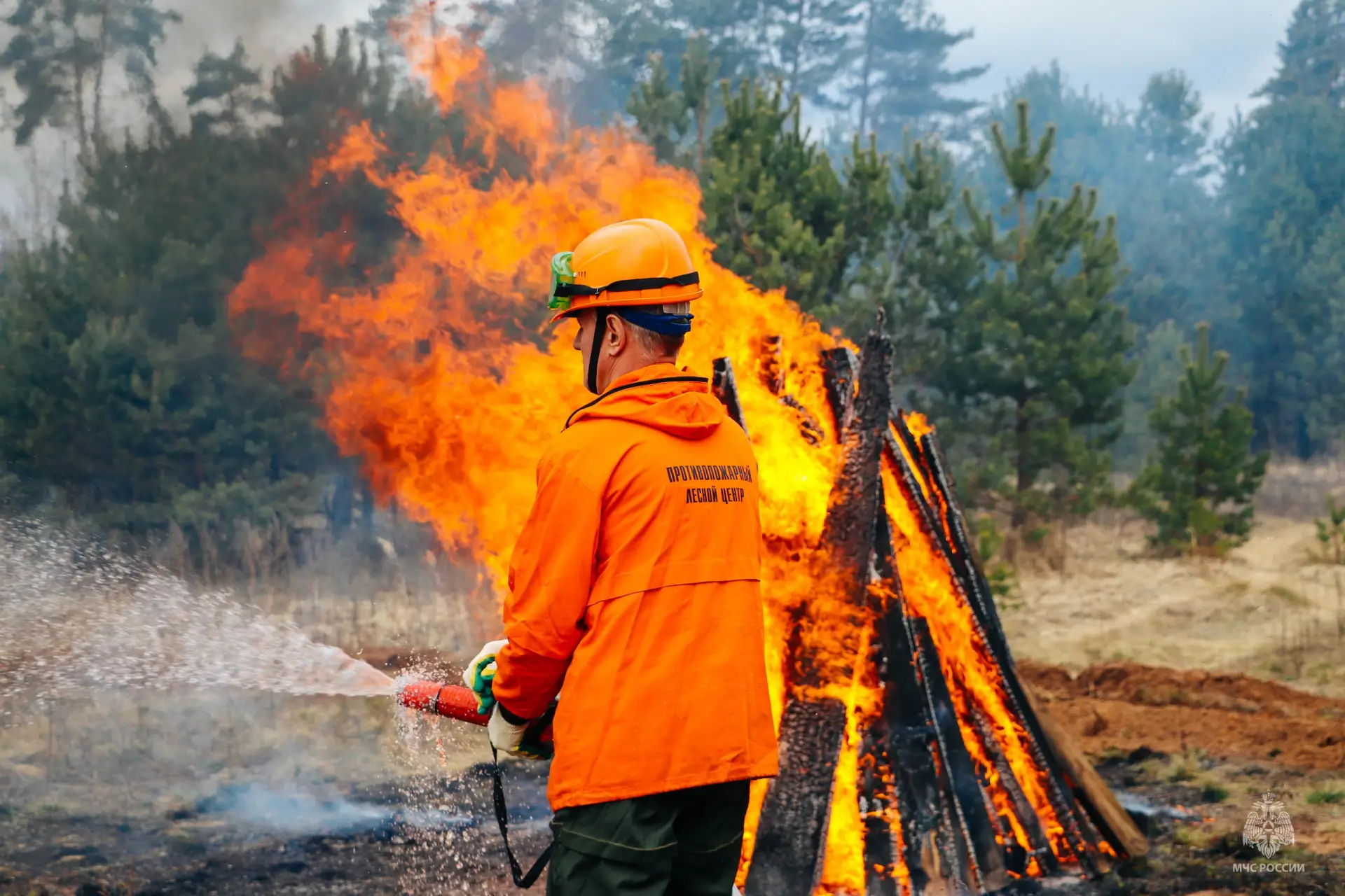 Совместные учения по тушению ландшафтного пожара прошли в Псковском муниципальном округе Совместные учения по тушению ландшафтного пожара прошли в Псковском муниципальном округе
